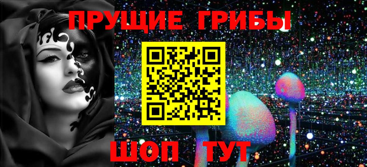 Псилоцибиновые грибы прущие грибы  Вход с VPN  Добрянка 